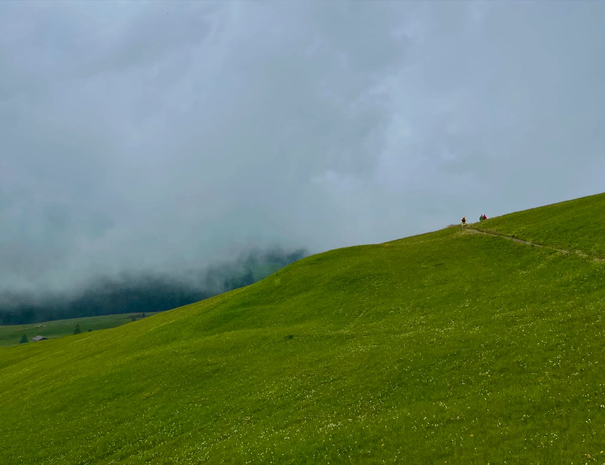 Alpe di Siusi