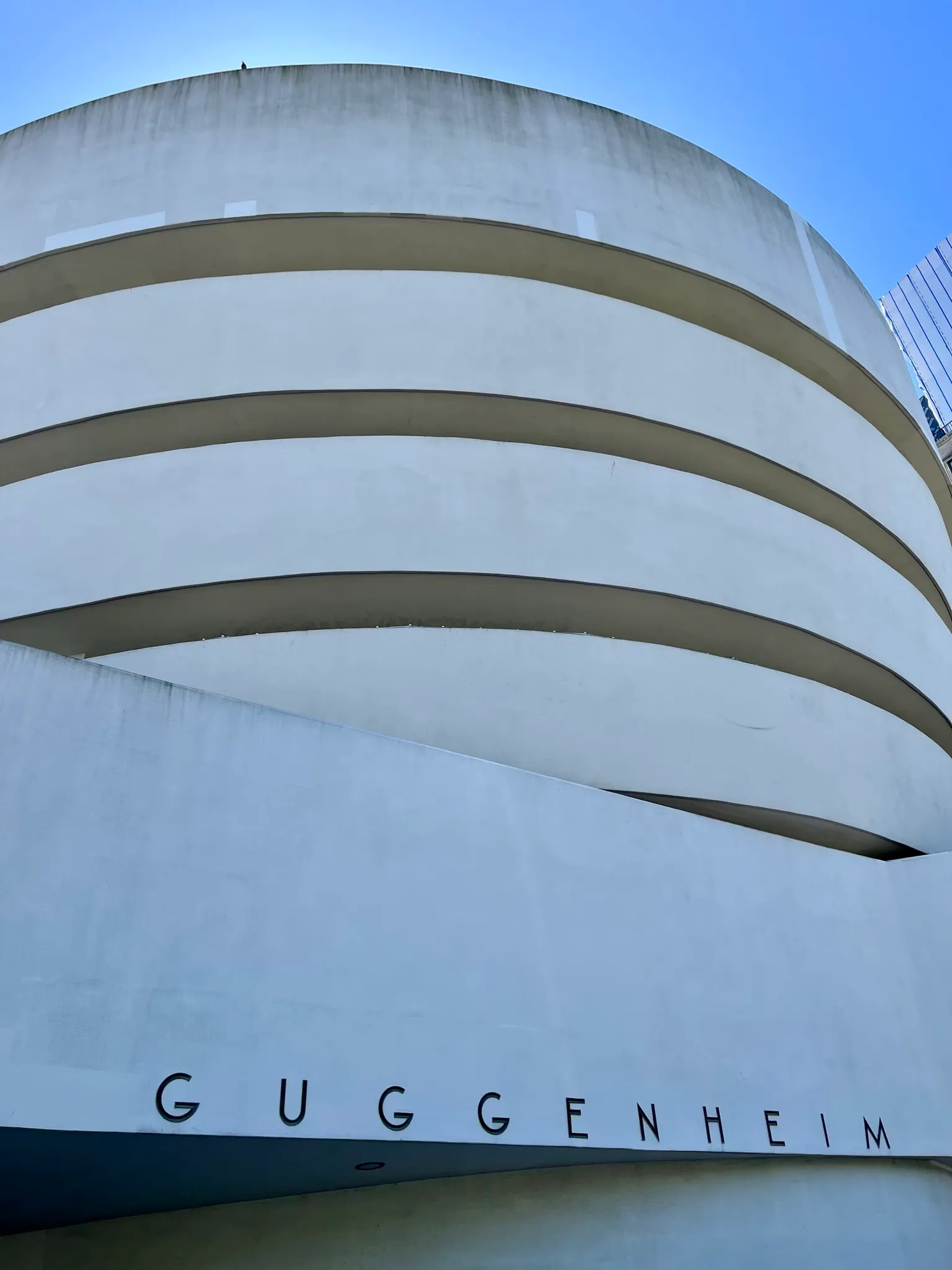 Guggenheim museum
