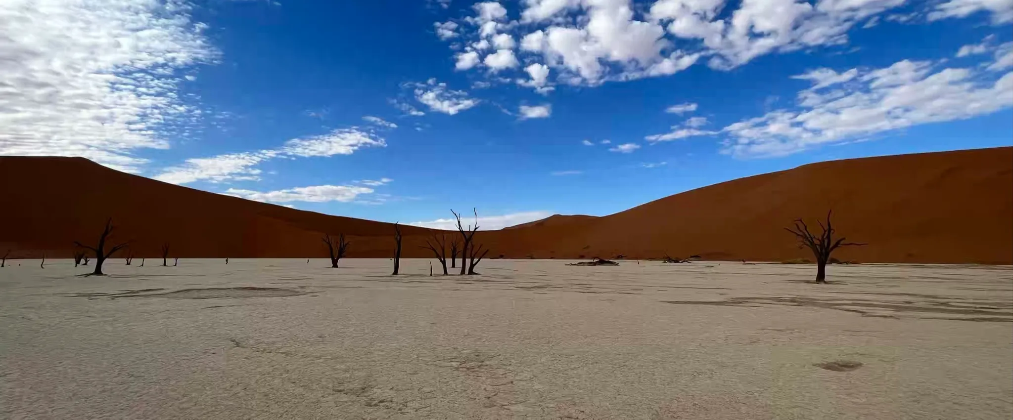 NP Namib